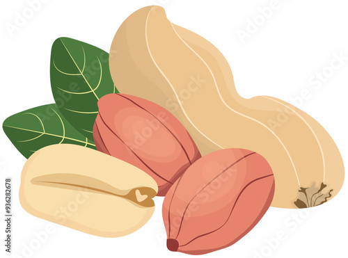 Peanut with Peanut Peeled and Leaf Illustration