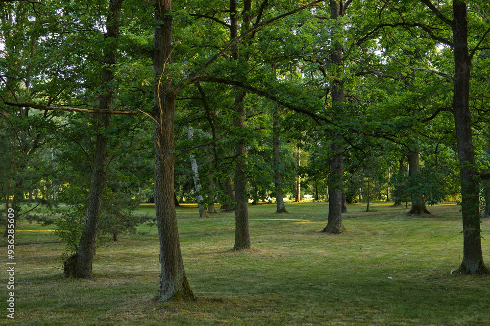 Public park in the Spa town Frantiskovy Lazne in Czech republic,Europe
Public park in the Spa town Frantiskovy Lazne in Czech republic,Europe