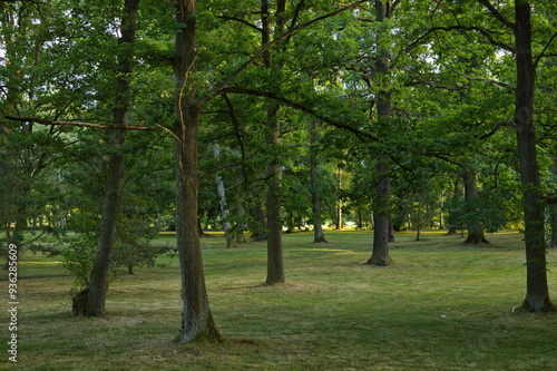 Public park in the Spa town Frantiskovy Lazne in Czech republic,Europe 