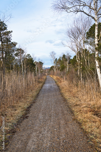 trail in autumn in the “Eisenharzer Moos” Germany