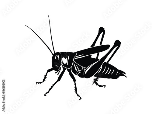 Grasshopper Silhouette Vector. Grasshopper Insect, Grasshopper Bug Monogram.