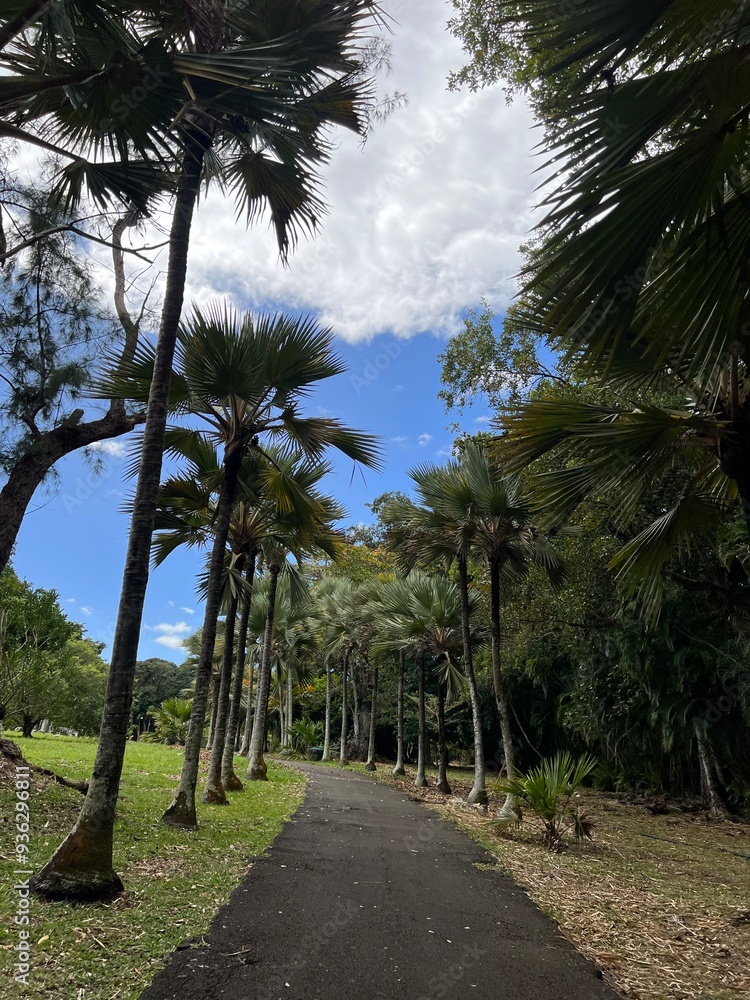 Obraz premium Tropikalny ogród