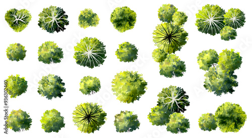Vector set of Top view green tree for outdoor plan or map and architecture drawing, elements for environment and garden ,botanical elements ,Blooming flowers in spring,tropical plants element