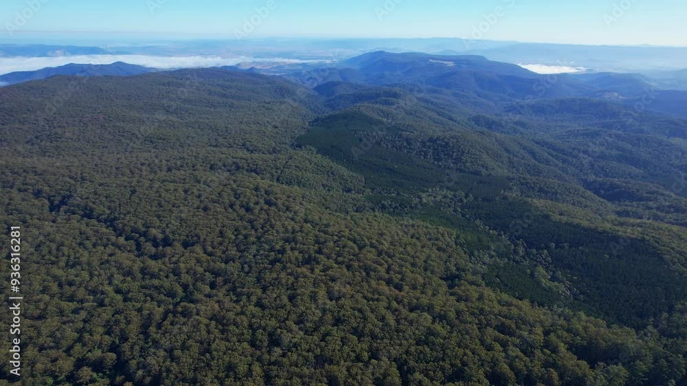 Mountains Covered In Lush Forests In D'Aguilar National Park, Mount Mee, QLD, Australia - Aerial Drone Shot Mountains Covered In Lush Forests In D'Aguilar National Park, Mount Mee, QLD, Australia - Aerial Drone Shot