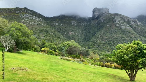 Green lawn and mountain backdrop at Kirstenbosch Botanical gardens