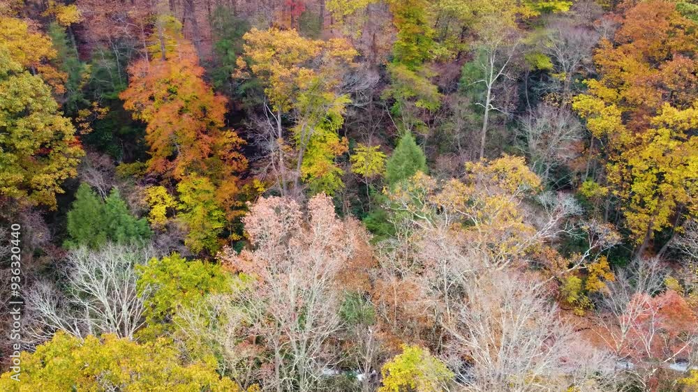Colorful golden fall tress in Ohiopyle Falls in the Fall. Ohiopyle State Park in Pennsylvania. Ohiopyle in Pennsylvania on the Youghiogheny river in early fall. Aerial view Colorful golden fall tress in Ohiopyle Falls in the Fall. Ohiopyle State Park in Pennsylvania. Ohiopyle in Pennsylvania on the Youghiogheny river in early fall. Aerial view
