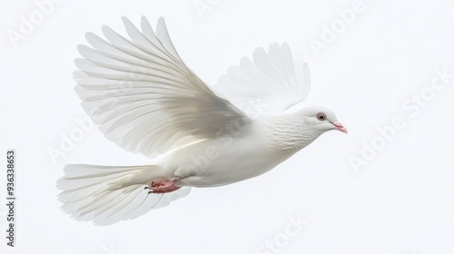 White Dove in Flight A LowAngle Perspective CloseUp of Feathers and Focused Eye on a White Background Symbolizing Peace and Hope