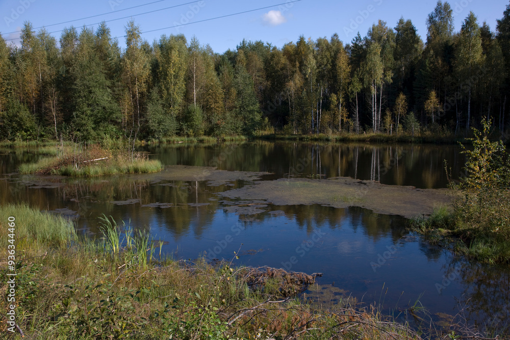Arkhangelsk region. landscape on a cloudy summer day Arkhangelsk region. landscape on a cloudy summer day