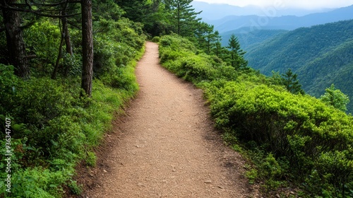 Scenic Trail Adventure, a picturesque hiking path surrounded by lush greenery, inviting exploration and outdoor experiences, perfect for sharing your journey and thoughts.