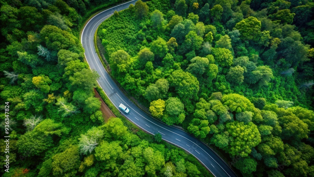 a small car navigates a curved road surrounded by lush green forest, glistening in the rain season, showcasing a healthy environment from a drone's perspective. a small car navigates a curved road surrounded by lush green forest, glistening in the rain season, showcasing a healthy environment from a drone's perspective.
