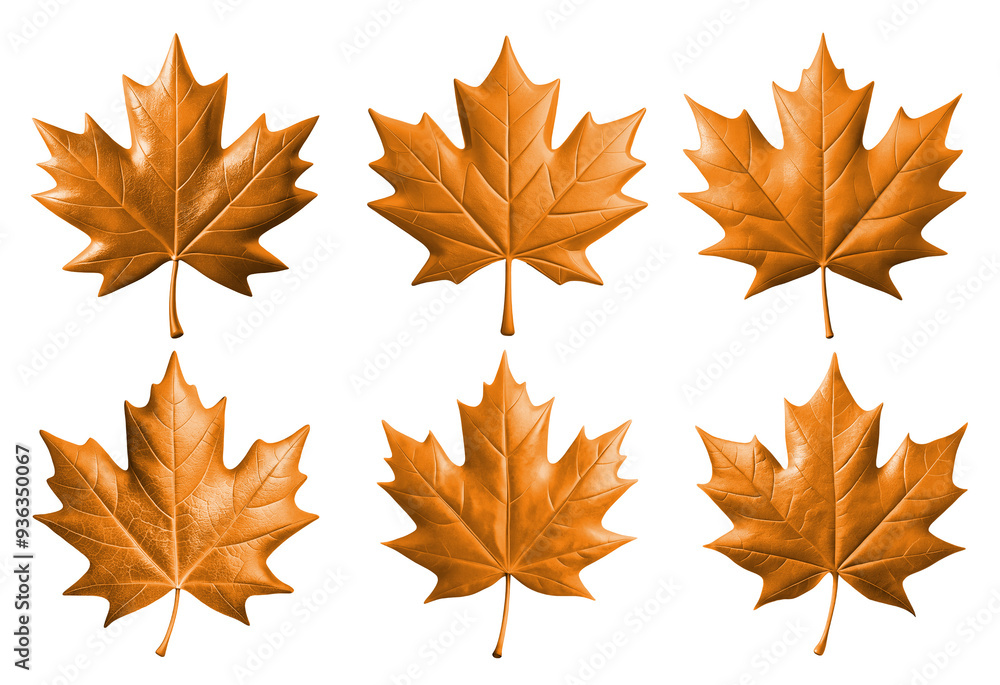 set of orange Canadian maple leaf PNG on transparent background, Canadian symbol set of orange Canadian maple leaf PNG on transparent background, Canadian symbol
