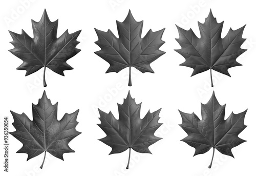 set of gray Canadian maple leaf PNG on transparent background, Canadian symbol