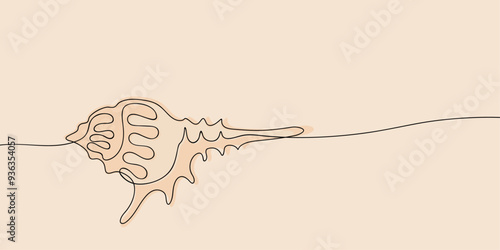 Sea shell in continuous line art drawing style. Hand drawn vector illustration. Minimalist black linear sketch isolated on light background.	