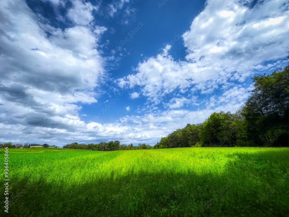 Obraz premium Pure Nature