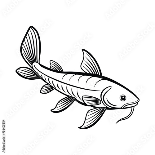 black and white sea fish silhouette on white background, Vector illustration, fish, icon, svg, characters, trendy Vector illustration