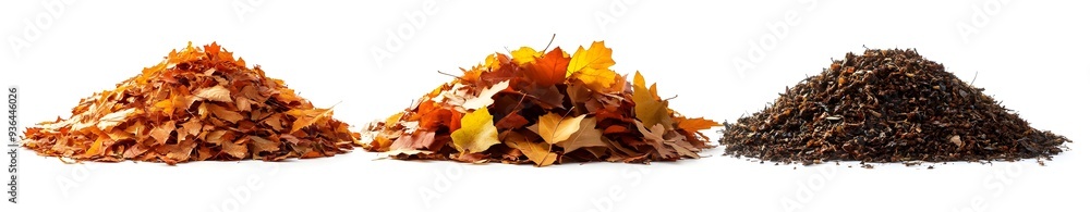 Obraz premium Three Piles of Autumn Leaves.