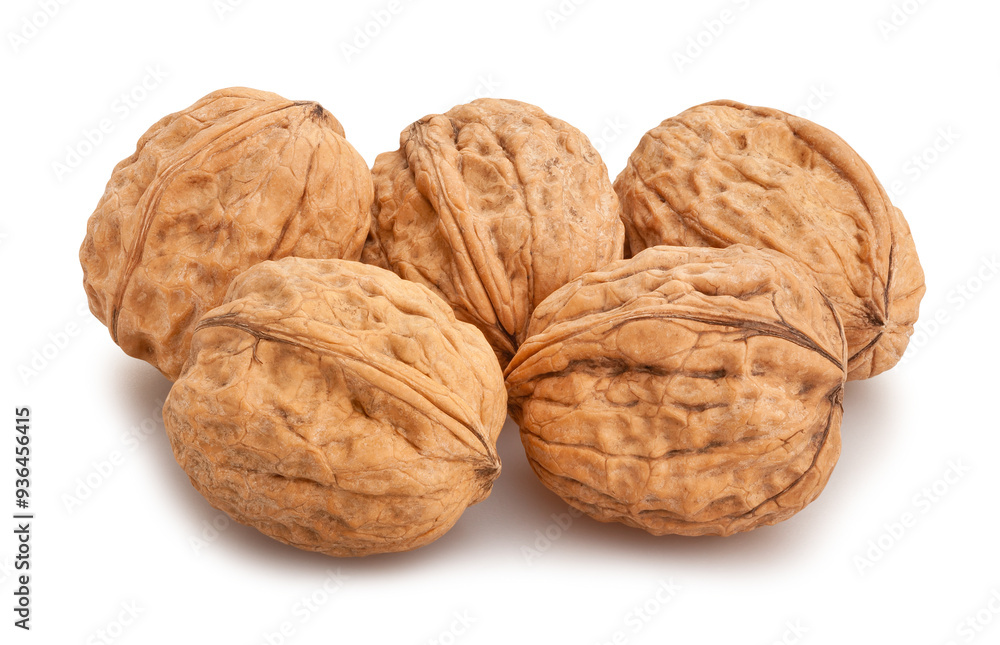 walnuts path isolated on white walnuts path isolated on white