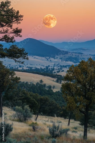 Full moon rising over rolling hills and trees at dusk in a serene landscape