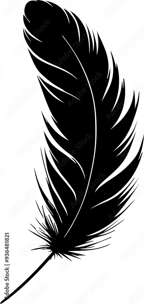 Obraz premium feather isolated on a white background