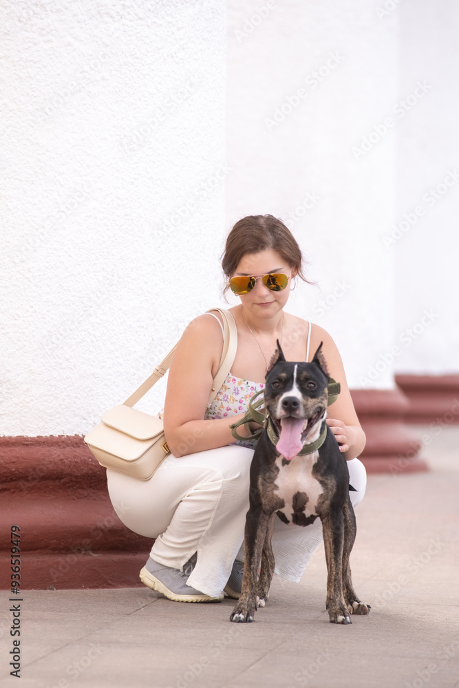 Beautiful young girl with American Staffordshire Terrier in nature. Beautiful young girl with American Staffordshire Terrier in nature.