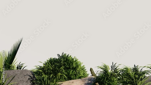 vegetation nature plant green natural environment foliage background 3d render. landscape tree jungle summer forest leaf tropical garden ecology grass. flora isolated park bush wild tropic.