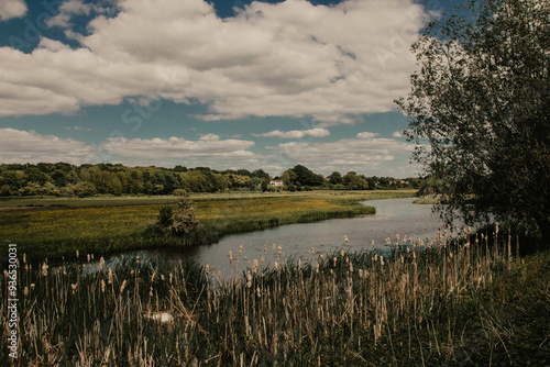 Dutch Landscape