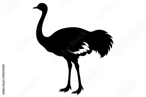 Ostrich silhouette vector design on a white background