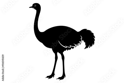 Ostrich silhouette vector design on a white background