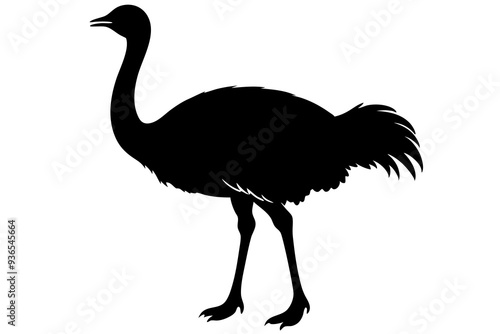 Ostrich silhouette vector design on a white background