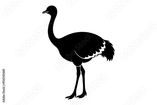 Ostrich silhouette vector design on a white background