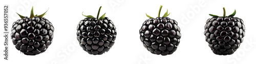 set of A Blackberry isolated on a transparent background