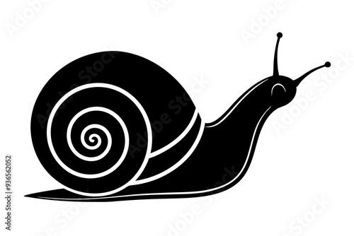 Silhouette vector snail on white background 