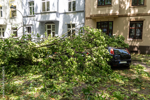 Umgestürzter Baum auf Autos – Sturmschaden, Unwetter und Schäden durch herabgefallene Äste