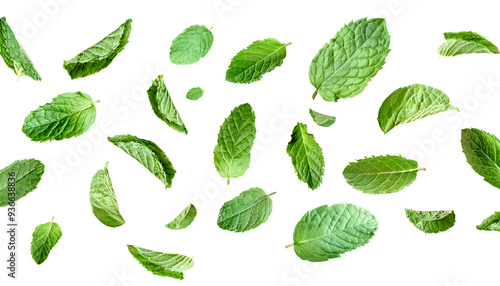 Fresh mint leaves, falling peppermint foliage isolated on white background with clipping path