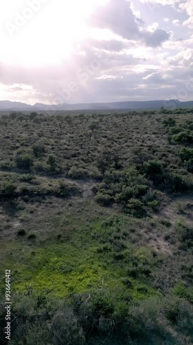 Natural landscape with green plants and bushes, mountains and a cloudy sky in the background. Panoramic aerial drone view, pan to the left, in a rect angle. Vertical video.  photo