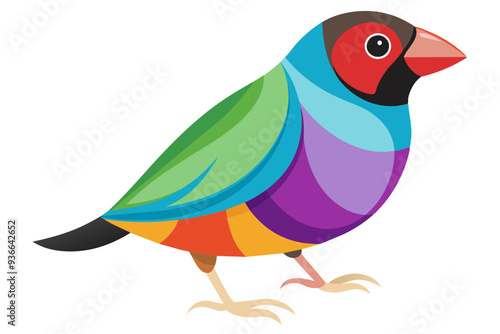  Gouldian finch bird vector art illustration photo