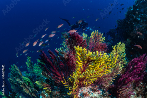 into the clear water of the Mediterranean Sea