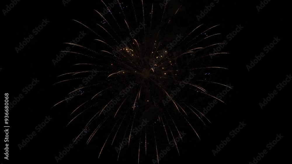 花火のスローモーション