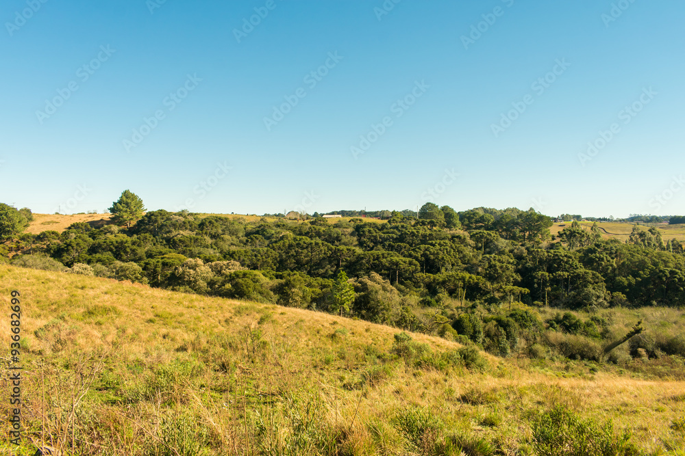 Campos de cima da Serra, Gaucho Highlands, Countryside of Sao Francisco de Paula (South of Brazil) Campos de cima da Serra, Gaucho Highlands, Countryside of Sao Francisco de Paula (South of Brazil)