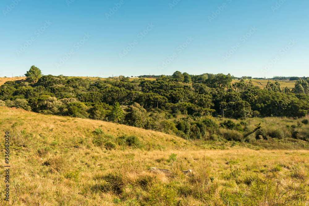 Campos de cima da Serra, Gaucho Highlands, Countryside of Sao Francisco de Paula (South of Brazil) Campos de cima da Serra, Gaucho Highlands, Countryside of Sao Francisco de Paula (South of Brazil)