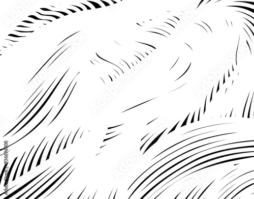 ASSORTIMENT DE LIGNES COURBES DYNAMIQUES