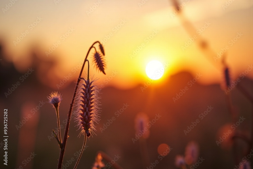 A serene sunset scene with hills and grass in the background, perfect for travel or nature-related projects A serene sunset scene with hills and grass in the background, perfect for travel or nature-related projects
