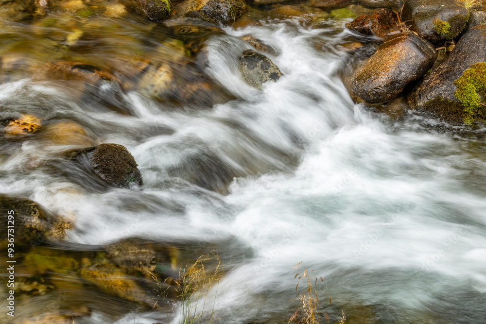 Flowing river water over rocks in a forest stream, creating a sense of motion and serenity Flowing river water over rocks in a forest stream, creating a sense of motion and serenity