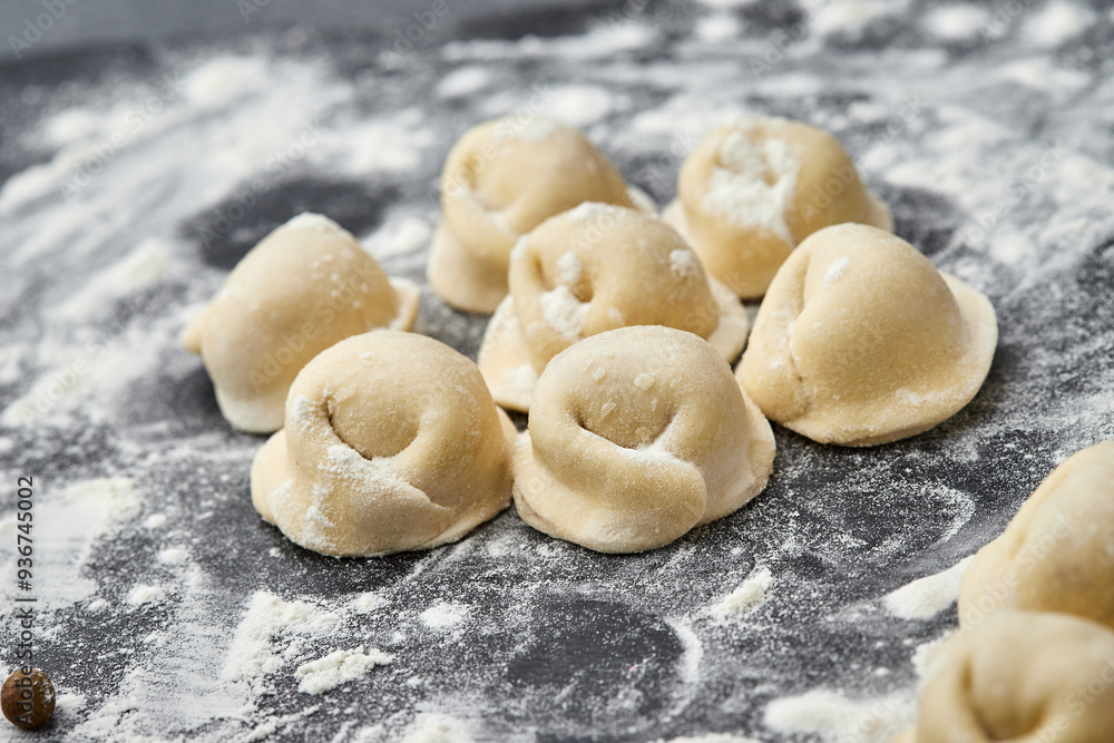 Homemade meat dumplings ready for cooking, a classic dish perfect for hearty family meals Homemade meat dumplings ready for cooking, a classic dish perfect for hearty family meals