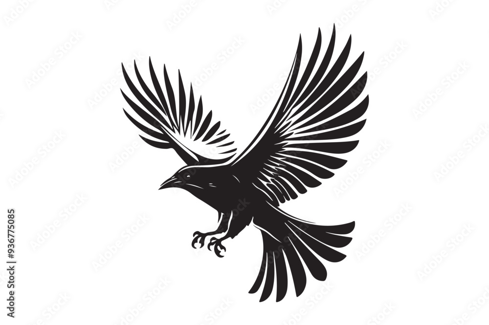 Fototapeta premium Flying Bird with Spread Wings Silhouette - Black and White Vector Art