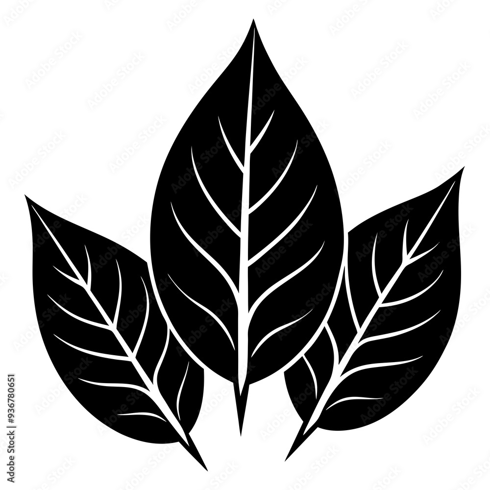 black and white leaves black and white leaves
