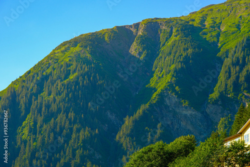 Scenes of the Abundent Nature in Alaska photo