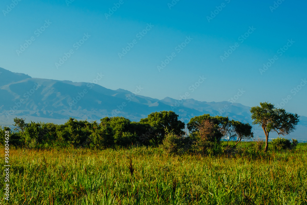 Fototapeta premium Summer green meadow and mountains landscape