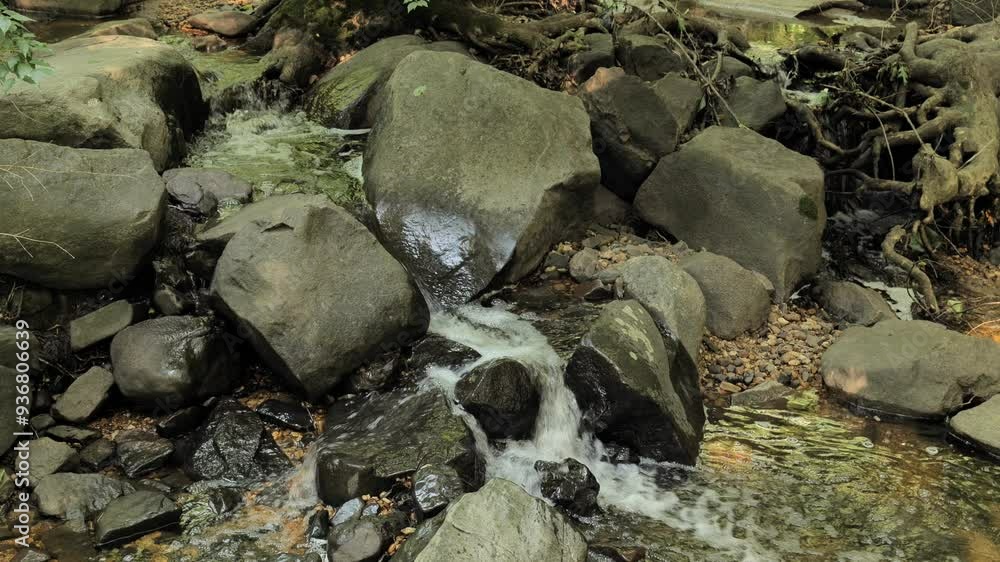 Large stones in the bed of a forest stream. Large stones in the bed of a forest stream.