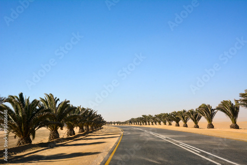 A long asphalt road in perspective with rows of palm trees on either side under a clear blue sky